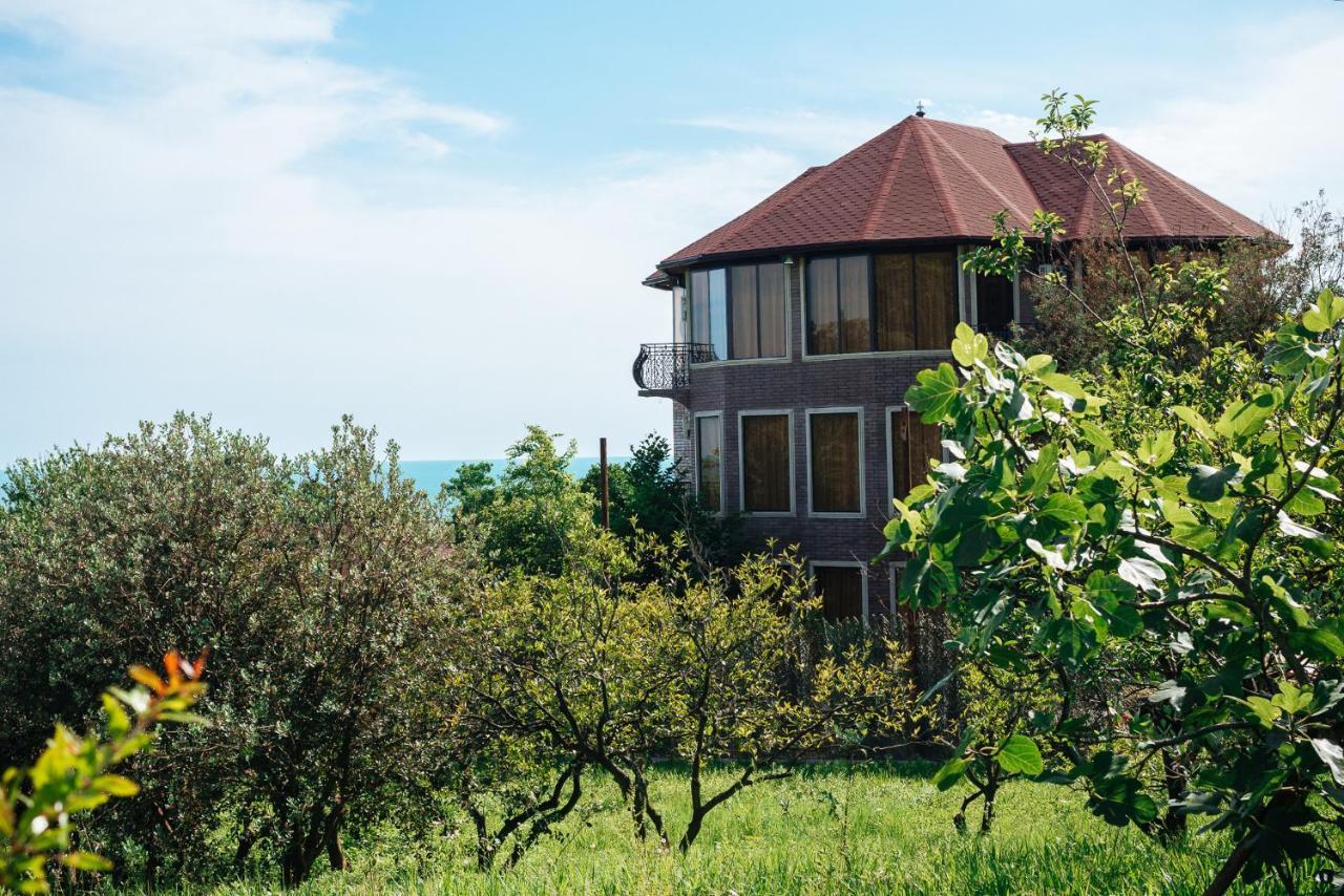 Villa Familia New Athos Exterior photo